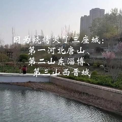 烧烤安全新挑战：山西烧烤签事故后的行业趋势预测